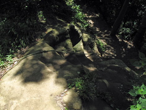 20150715hike (61)